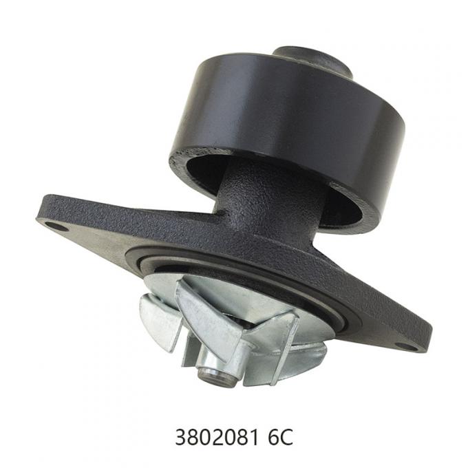 Diesel Water Pump For Cummins 6CT 6CTA8.3 OEM 3802081