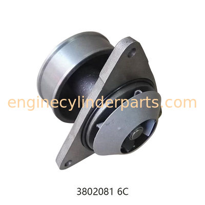Diesel Water Pump For Cummins 6CT 6CTA8.3 OEM 3802081