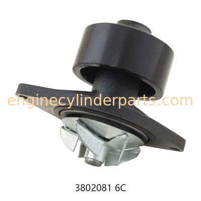 Diesel Water Pump For Cummins 6CT 6CTA8.3 OEM 3802081