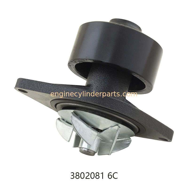Diesel Water Pump For Cummins 6CT 6CTA8.3 OEM 3802081